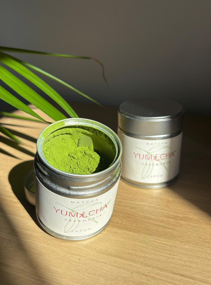 Conserver son matcha : lumière, air, frigo ?