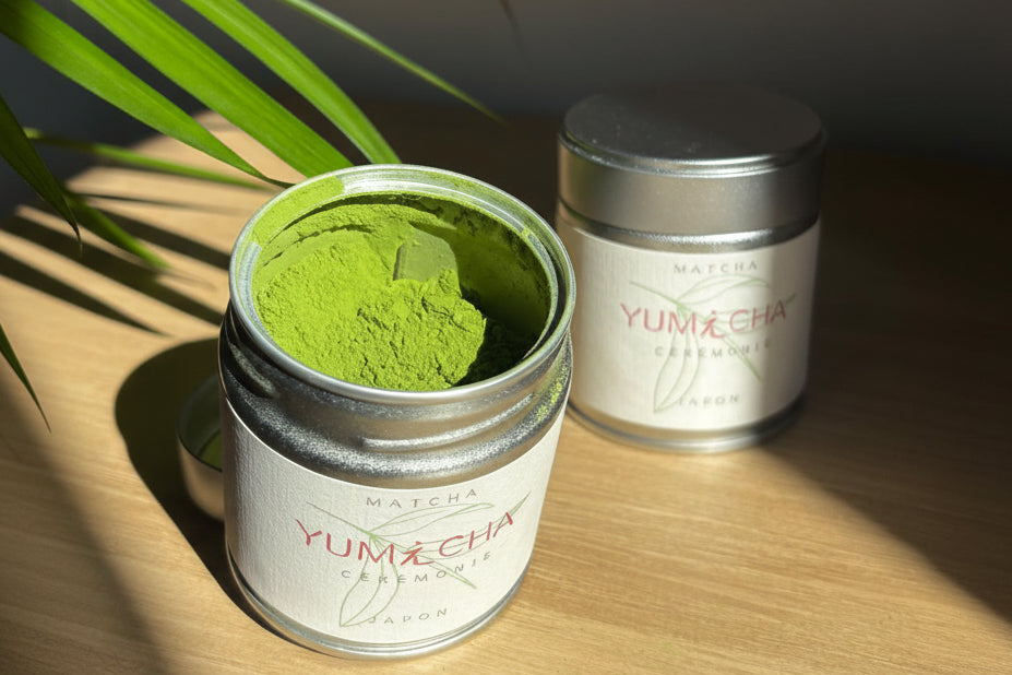 Lot Matcha découverte
