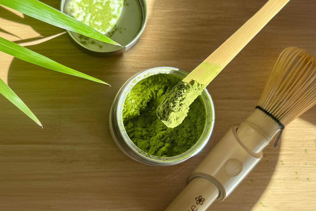 Matcha Cérémonie Yumecha, boîte 30 g — matcha de cérémonie d'Uji, Kyoto (ouverte, poudre visible)