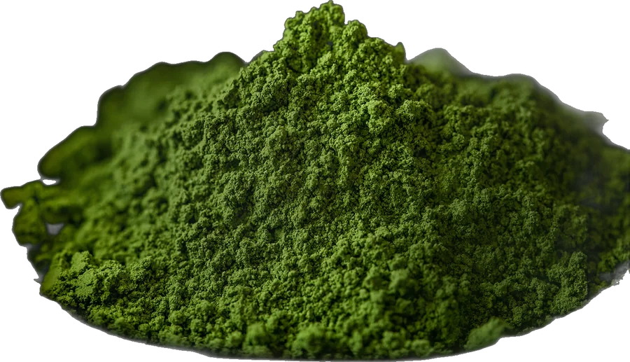 Poudre de matcha de cérémonie